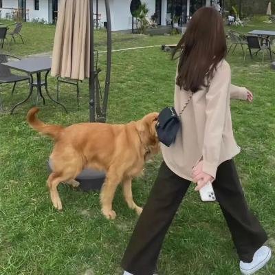 不死的妈妈